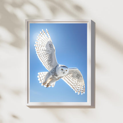 Flight Of The Snow Owl
