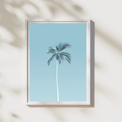 Palm Paradise